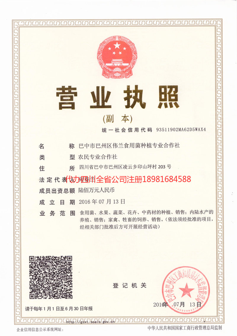 连云港连云港伟兰食用菌种植专业合作社